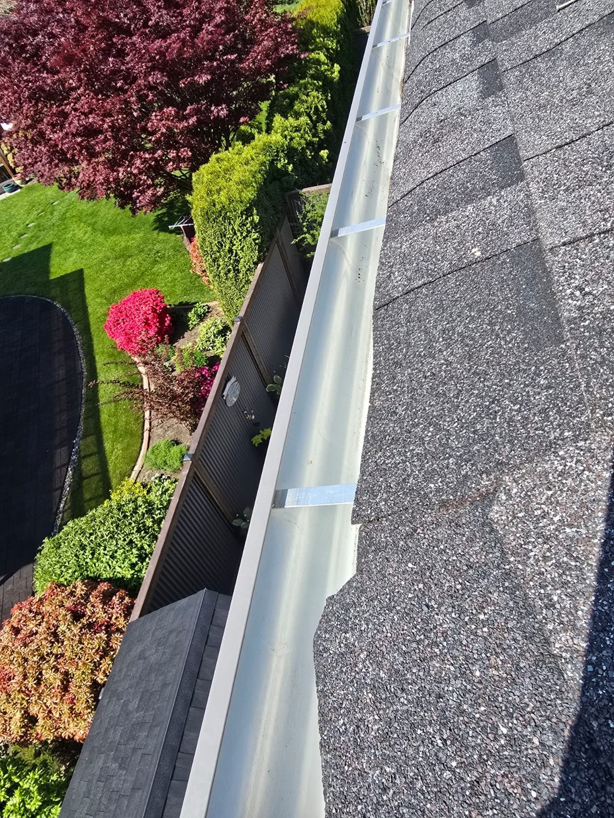 Before gutter service