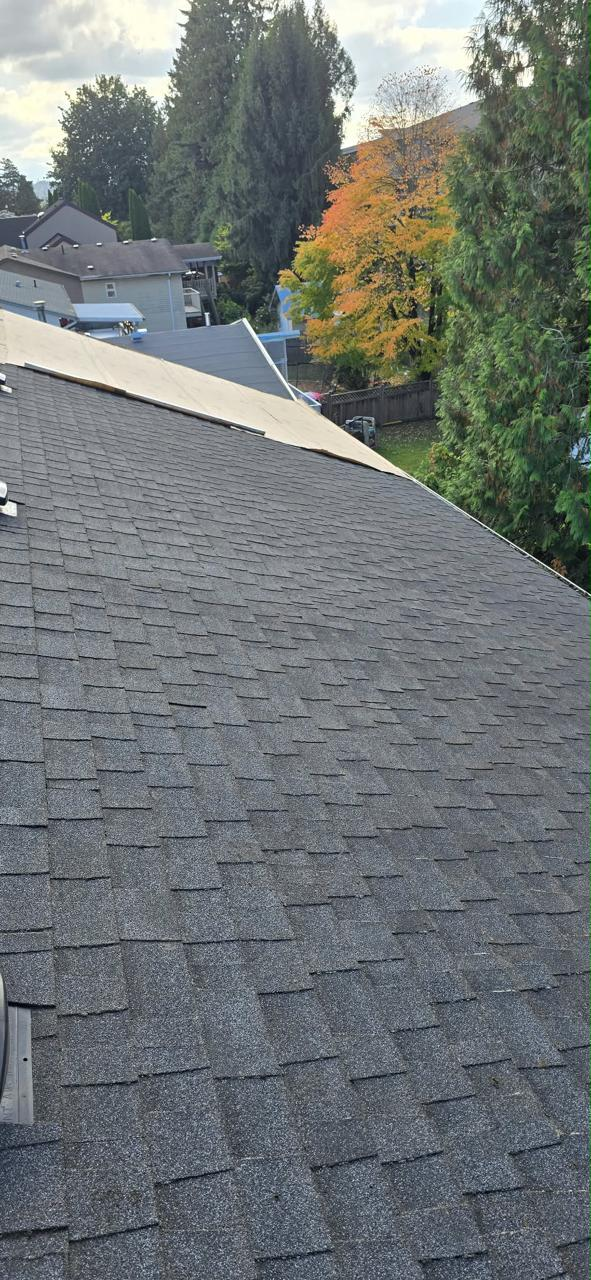 After gutter service