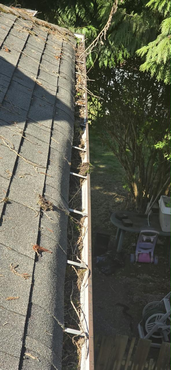 Before gutter service