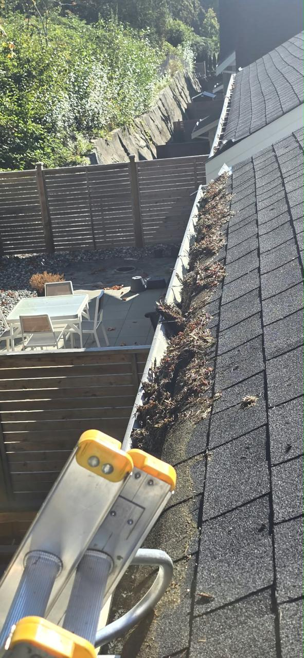 Before gutter service