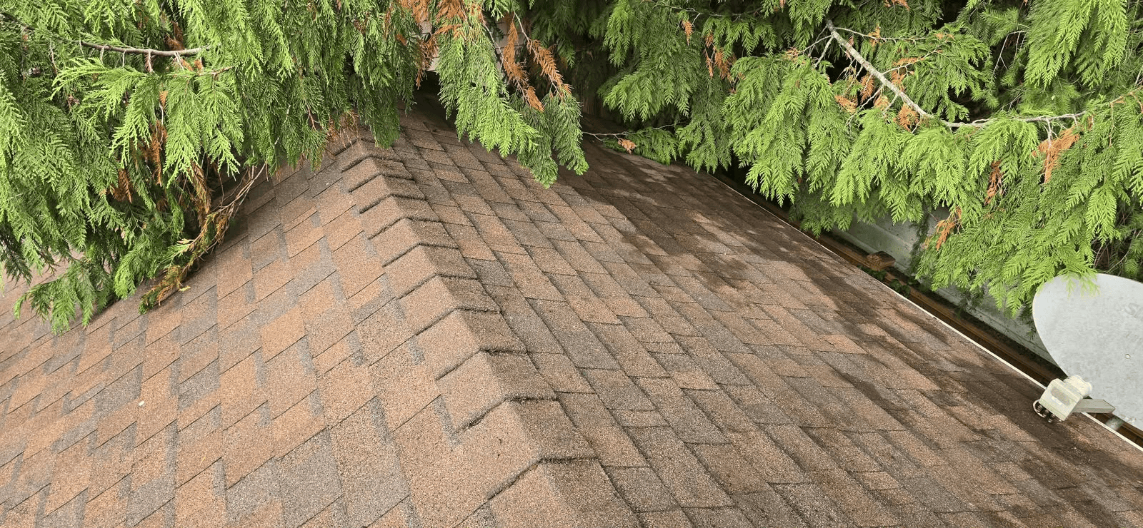 After gutter service
