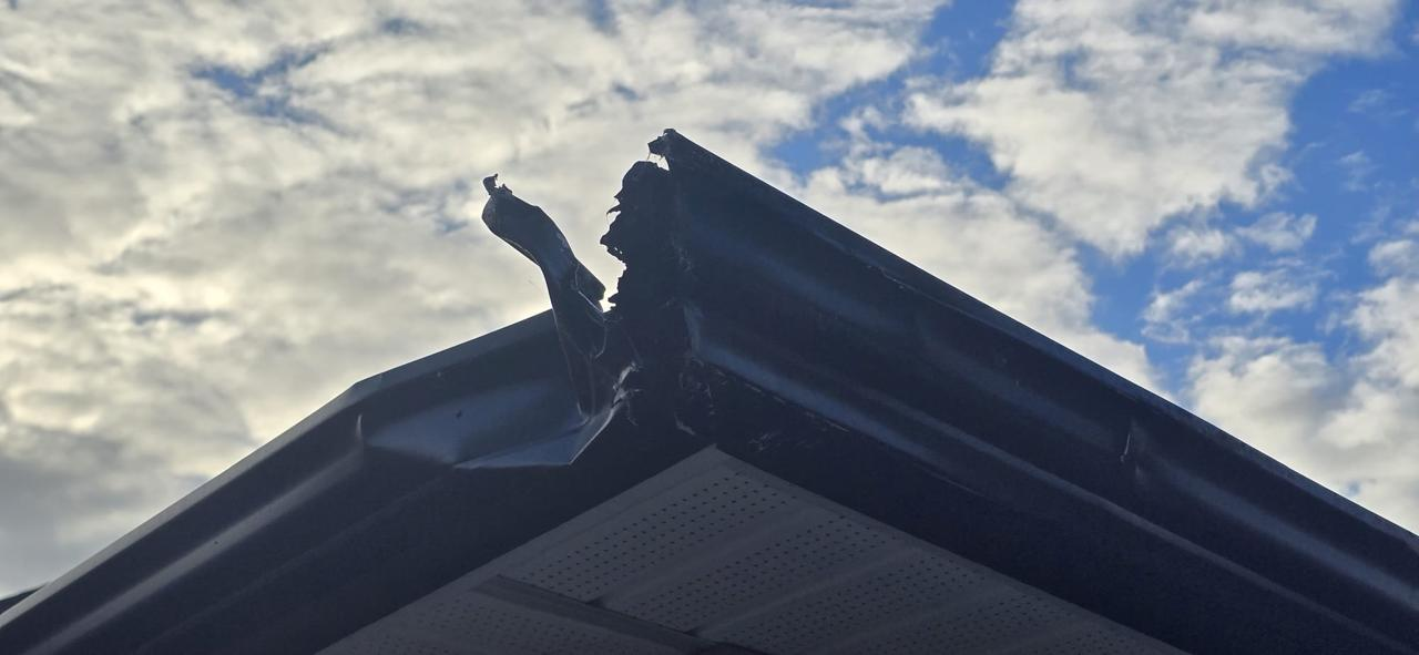 Before gutter service