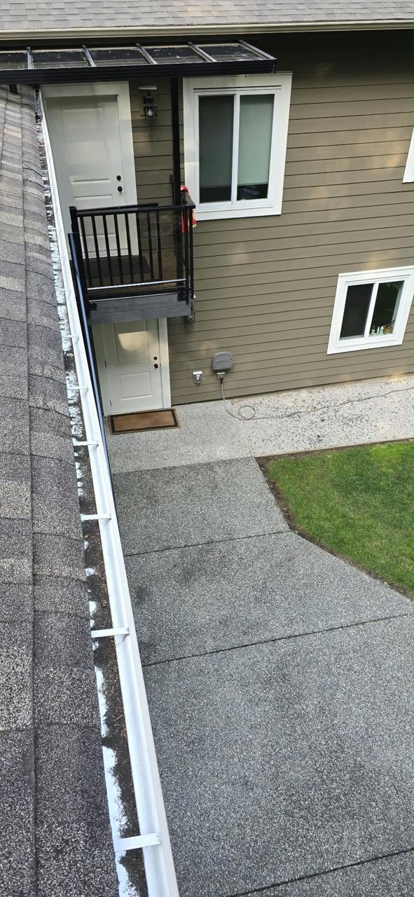 Before gutter service
